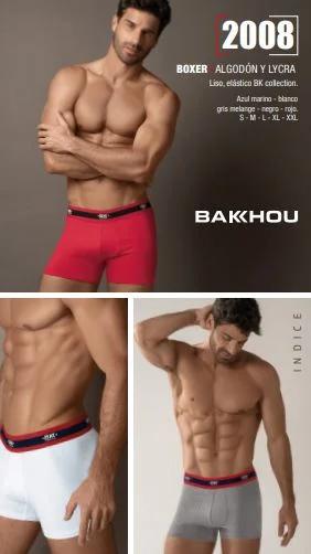 Bakhou 2008