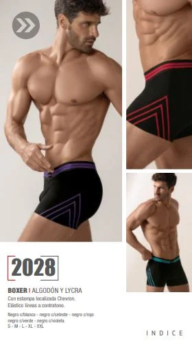 Bakhou 2028