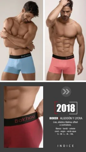 Bakhou 2018